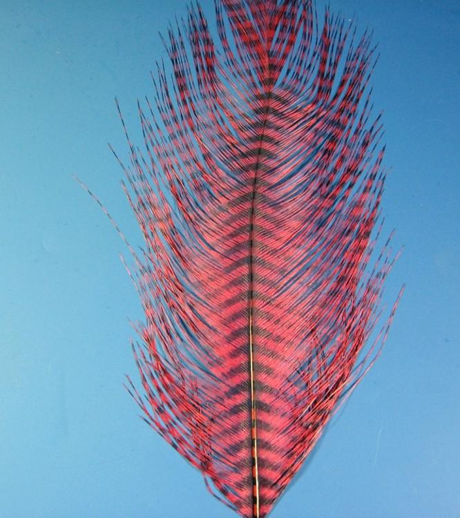 MFC Barred Ostrich Plume - The Trout Spot