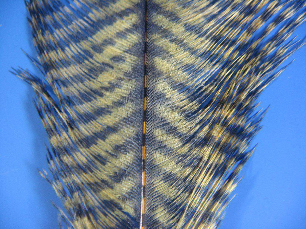 MFC Barred Ostrich Plume - The Trout Spot