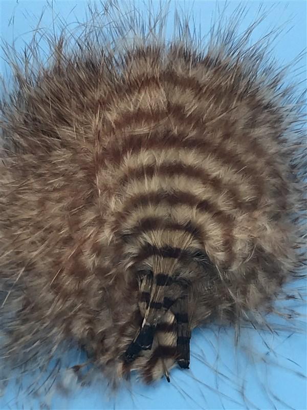 MFC Buggerbou Fine Barred - The Trout Spot