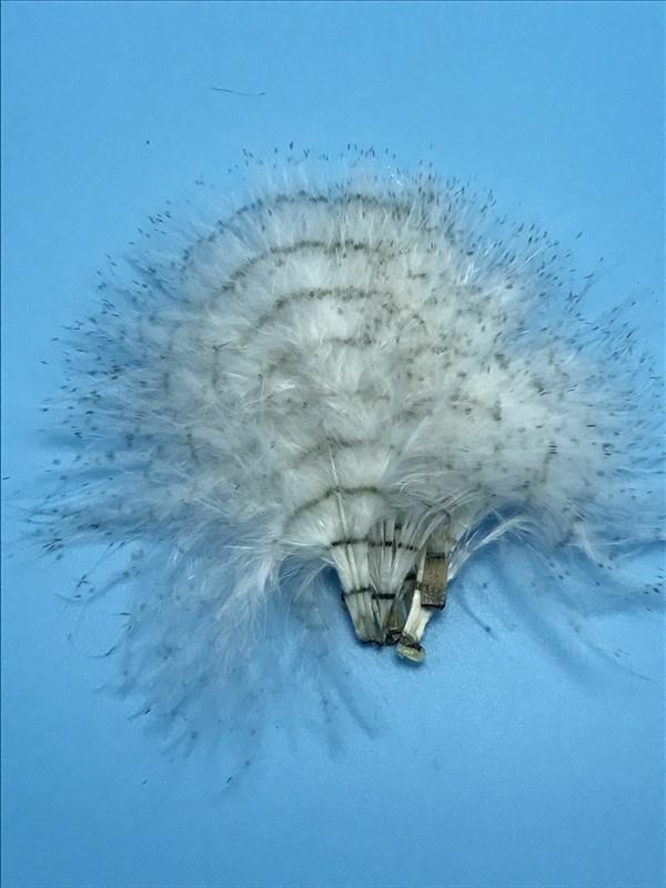 MFC Buggerbou Fine Barred - The Trout Spot