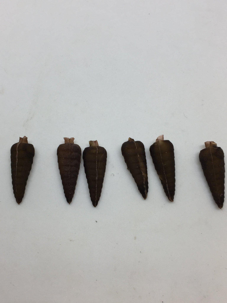 MFC Dragonfly Nymph Body Medium - The Trout Spot