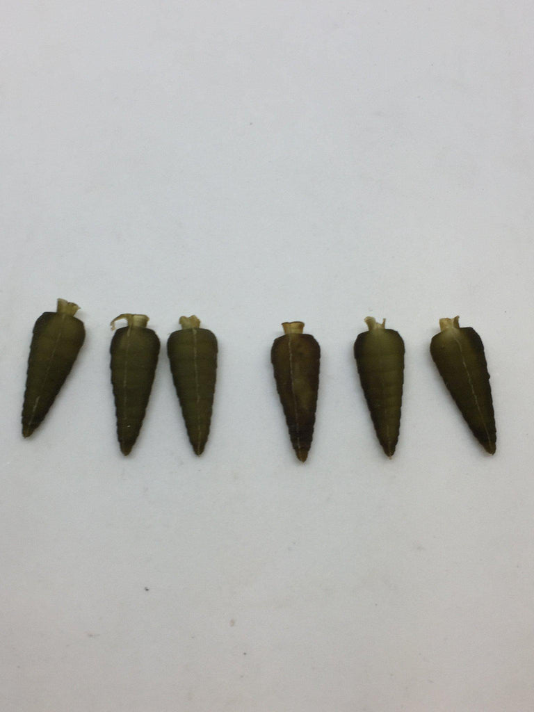 MFC Dragonfly Nymph Body Medium - The Trout Spot