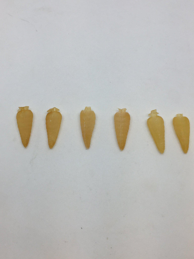 MFC Dragonfly Nymph Body Medium - The Trout Spot