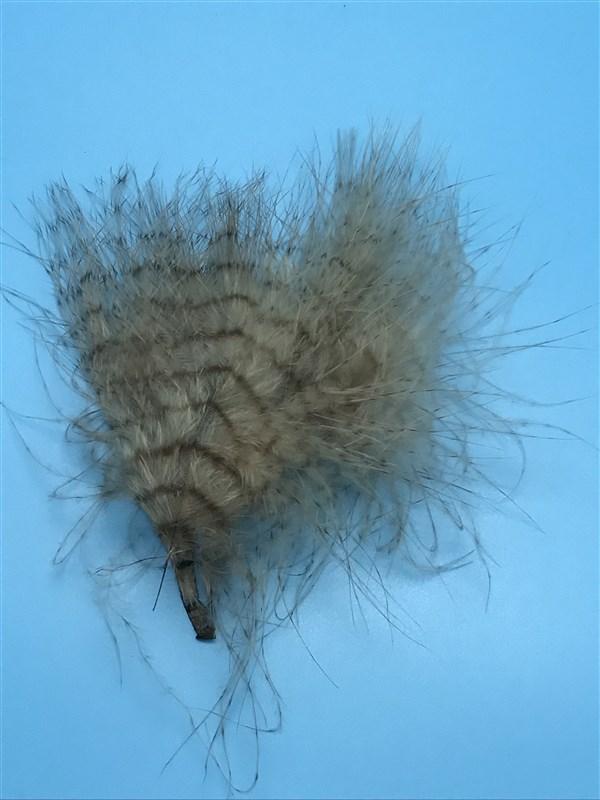 MFC Fine Barred Marabou - 3" - 5" - The Trout Spot