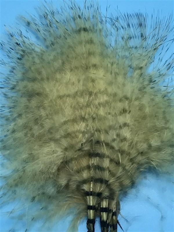 MFC Fine Barred Marabou - 3" - 5" - The Trout Spot