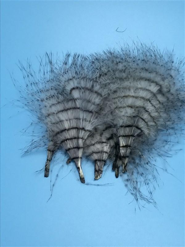 MFC Fine Barred Marabou - 3" - 5" - The Trout Spot