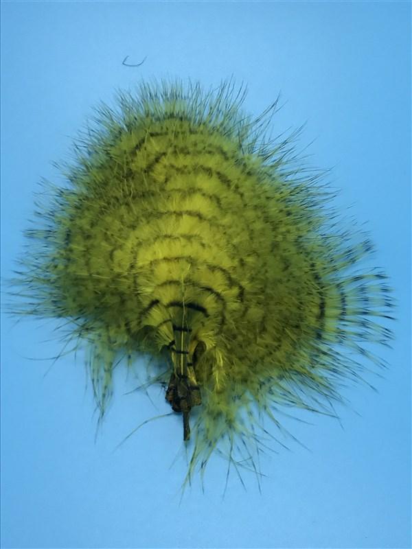 MFC Fine Barred Marabou - 3" - 5" - The Trout Spot