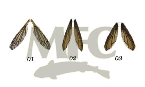 MFC Lazer Wing Mayfly - The Trout Spot