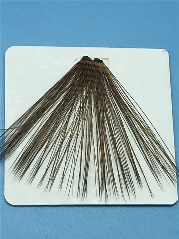 MFC Micro-Barred Fibbetts - The Trout Spot