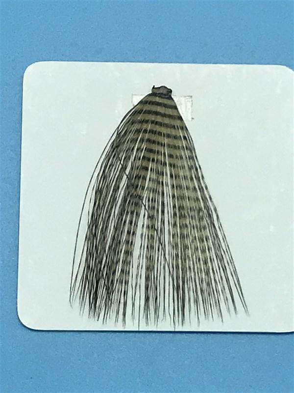 MFC Micro-Barred Fibbetts - The Trout Spot