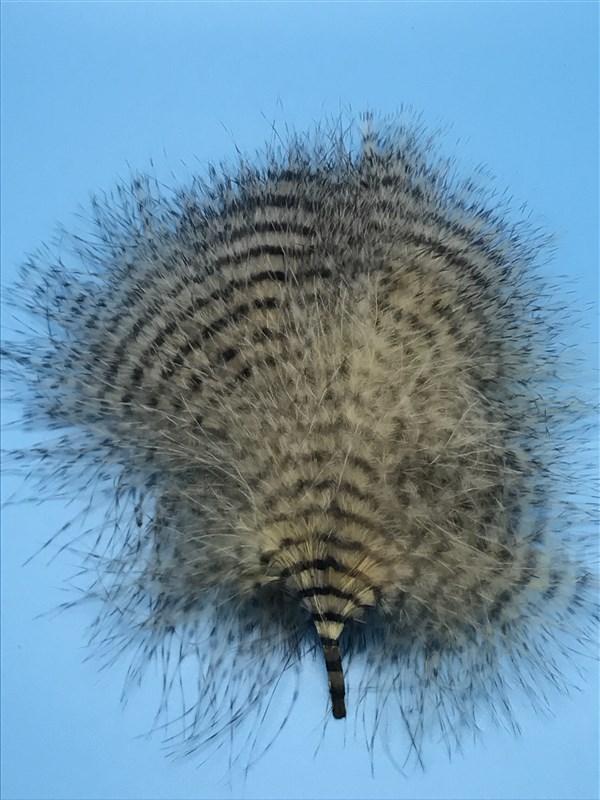 MFC Mini Barred Marabou - The Trout Spot
