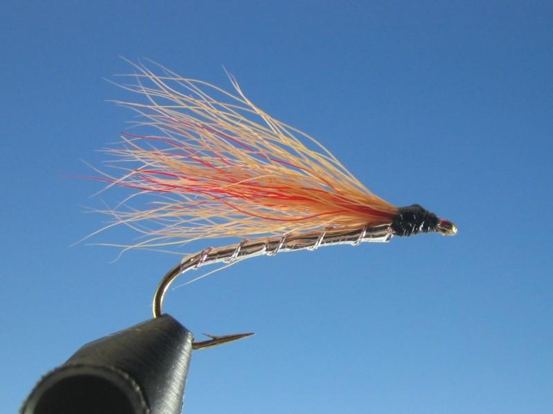 Mickey Finn - The Trout Spot