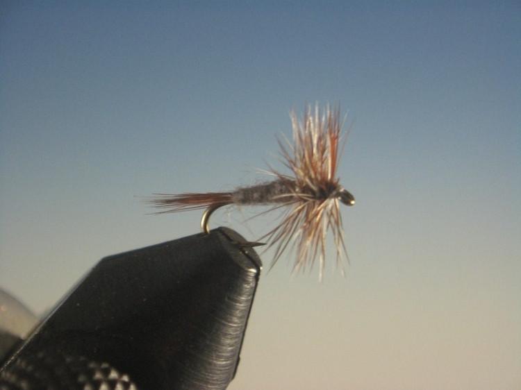 Midge Adams Dry - The Trout Spot