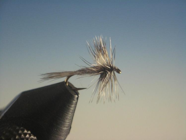 Midge Grizzly Dry - The Trout Spot
