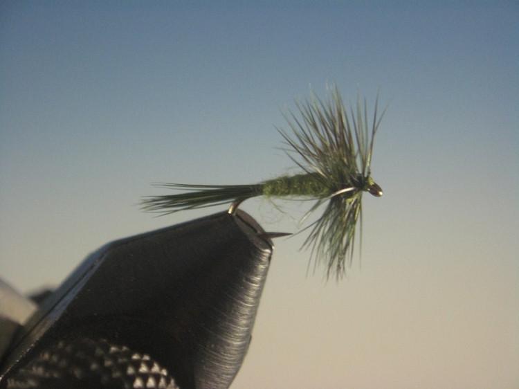 Midge Olive Dry - The Trout Spot