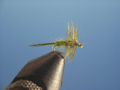 Midge Olive - The Trout Spot