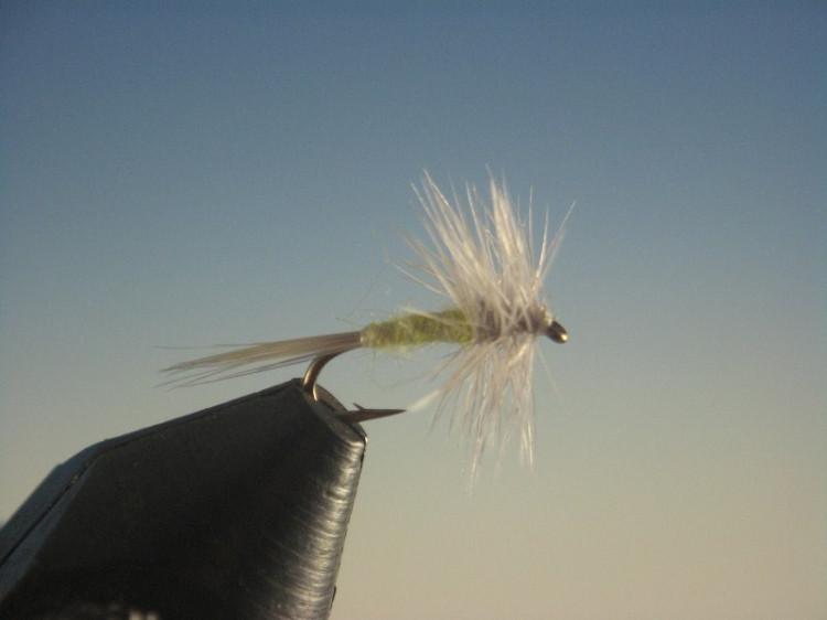 Midge PMD Dry - The Trout Spot