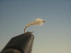 Midge Pupa Cream - The Trout Spot