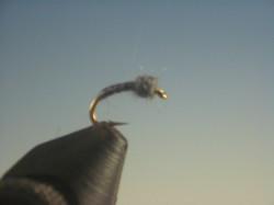 Midge Pupa Gray - The Trout Spot