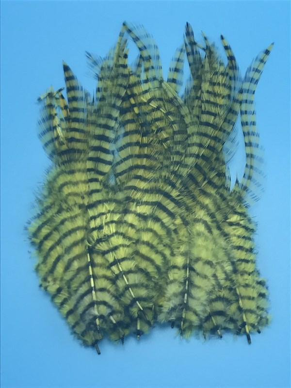 Montana Fly Company Barred Saddle Hackle - The Trout Spot