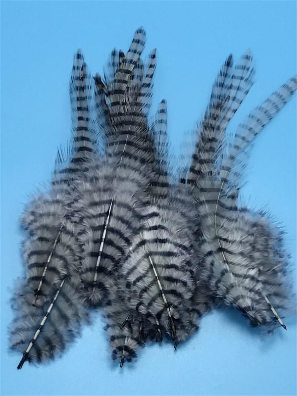 Montana Fly Company Barred Saddle Hackle - The Trout Spot