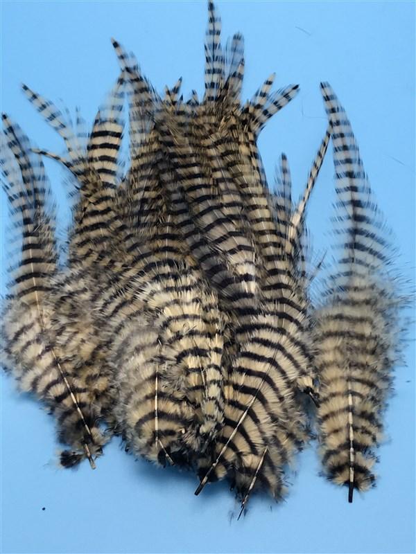 Montana Fly Company Barred Saddle Hackle - The Trout Spot