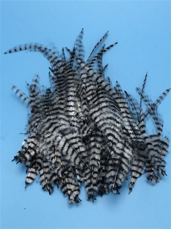 Montana Fly Company Barred Saddle Hackle - The Trout Spot