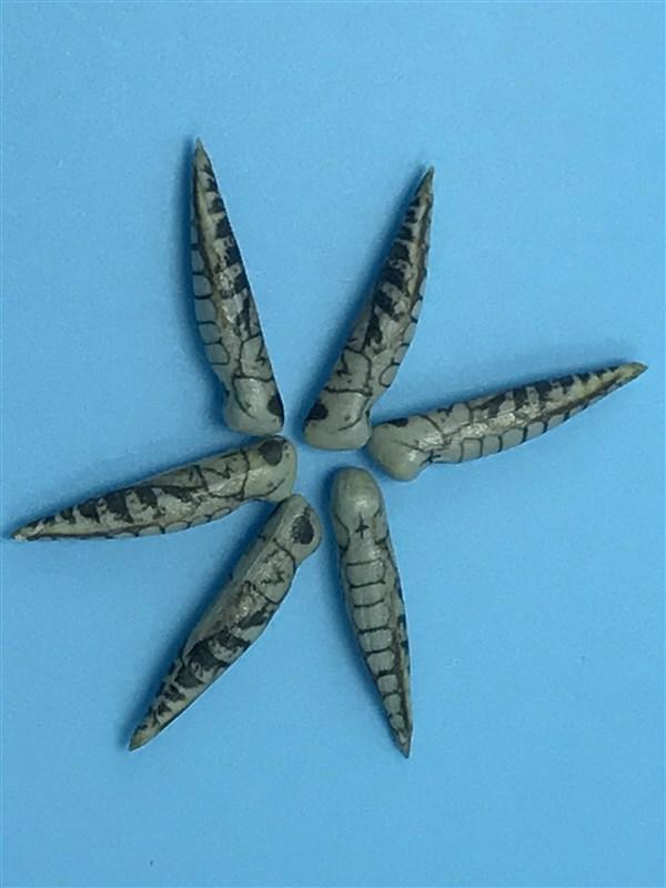 Montana Fly Company Foam Hopper Body - The Trout Spot