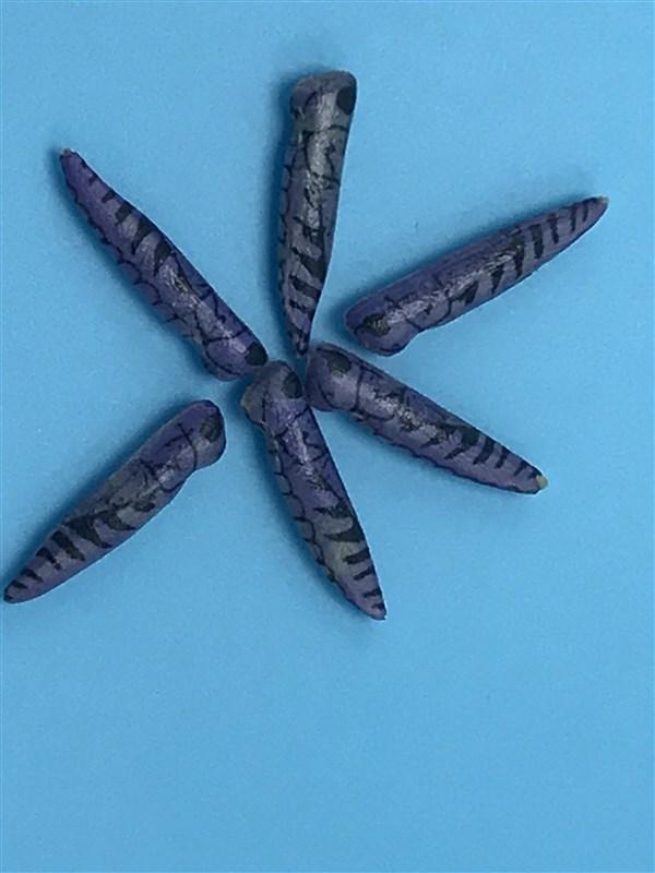 Montana Fly Company Foam Hopper Body - The Trout Spot