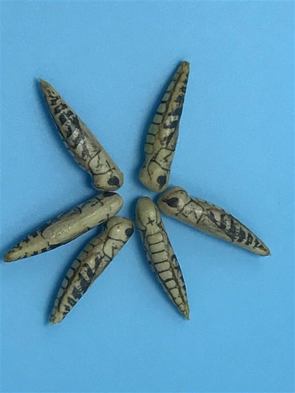 Montana Fly Company Foam Hopper Body - The Trout Spot