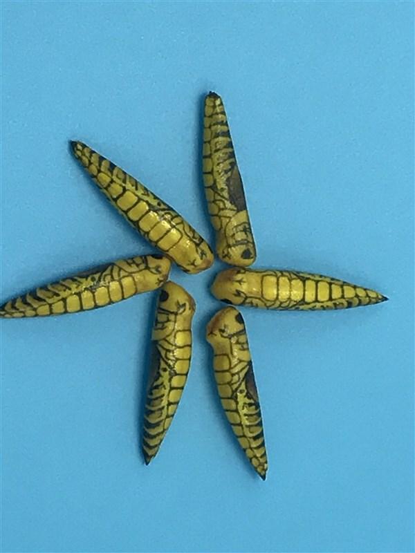 Montana Fly Company Foam Hopper Body - The Trout Spot