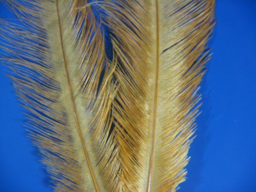 Montana Fly Company Ostrich Plume - The Trout Spot