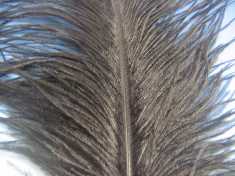 Montana Fly Company Ostrich Plume - The Trout Spot