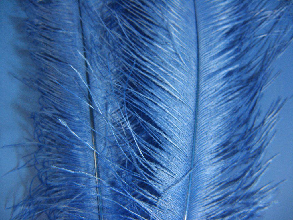 Montana Fly Company Ostrich Plume - The Trout Spot