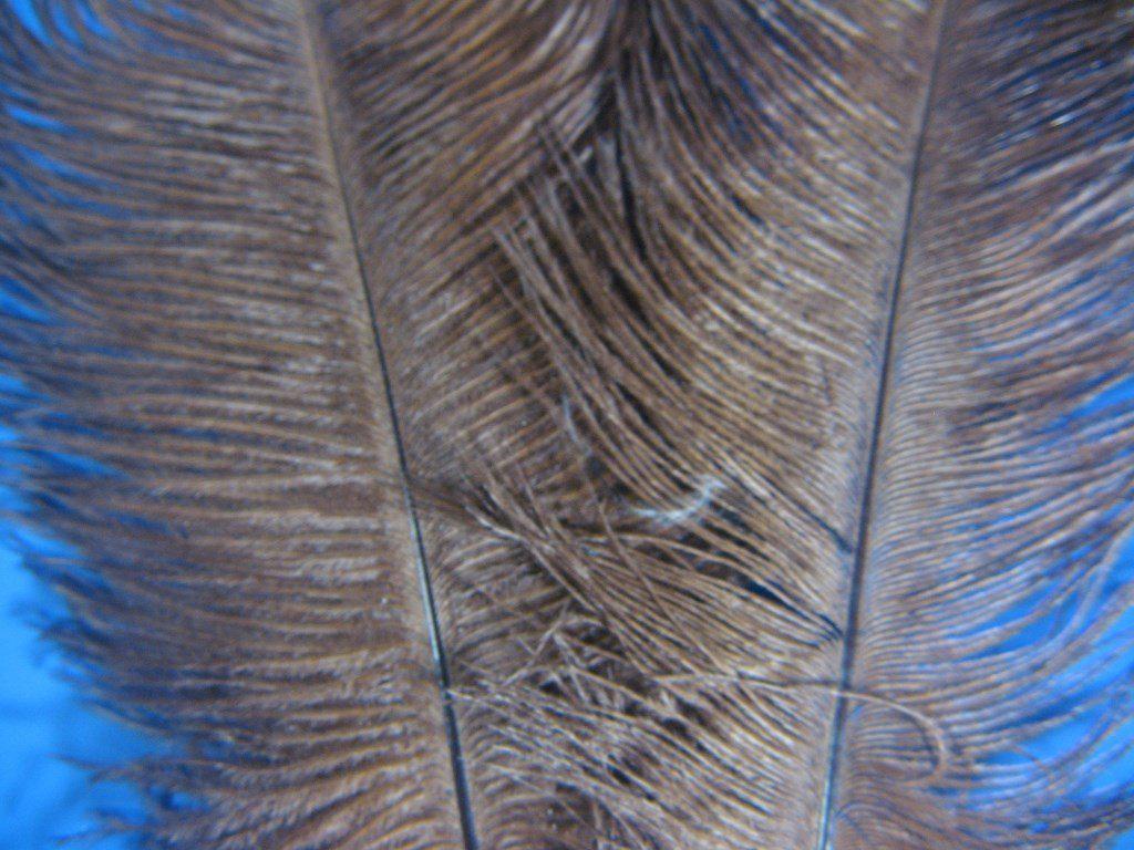 Montana Fly Company Ostrich Plume