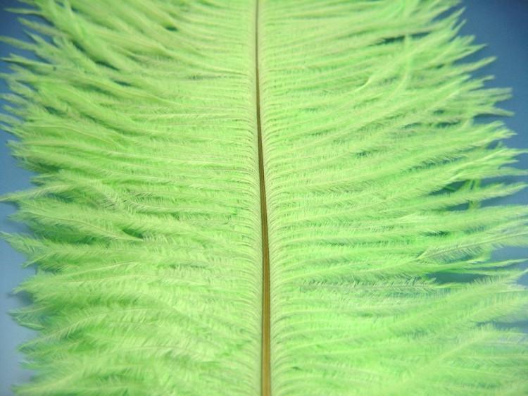 Montana Fly Company Ostrich Plume - The Trout Spot