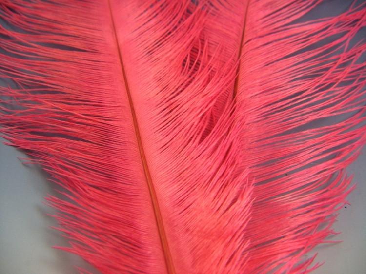 Montana Fly Company Ostrich Plume - The Trout Spot