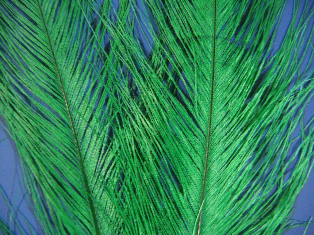 Montana Fly Company Ostrich Plume - The Trout Spot