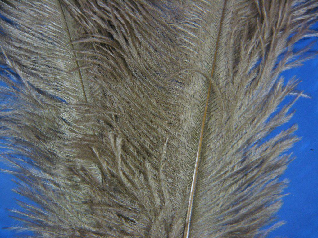 Montana Fly Company Ostrich Plume - The Trout Spot