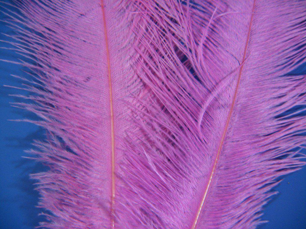 Montana Fly Company Ostrich Plume - The Trout Spot