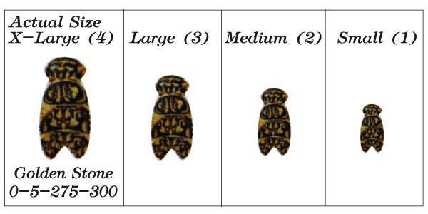 Montana Fly Company Wiggle Stone Nymph Back Golden Stone - The Trout Spot