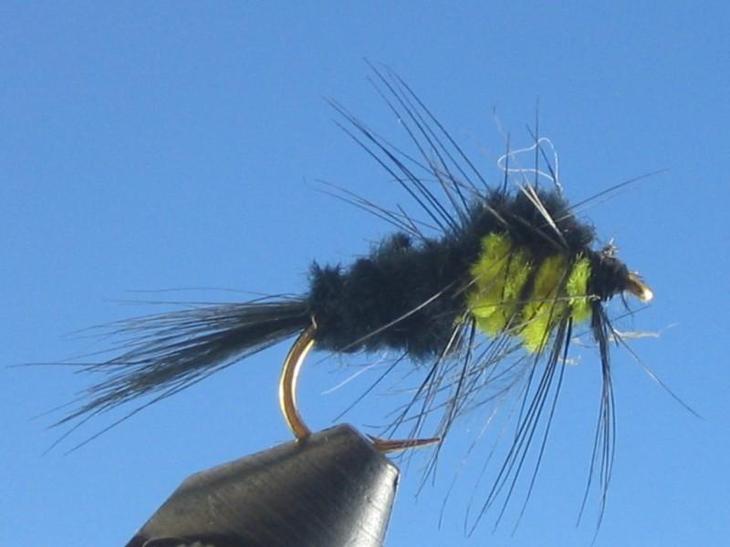 Montana Stonefly Nymph - The Trout Spot