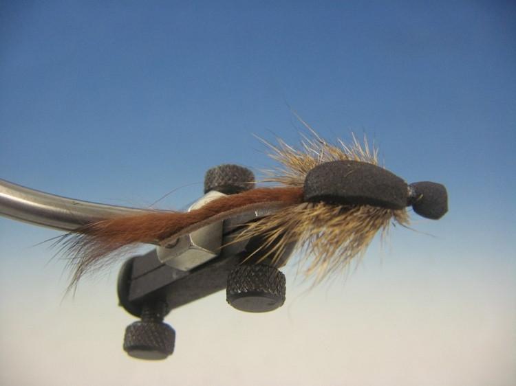 Morrish Mouse - The Trout Spot