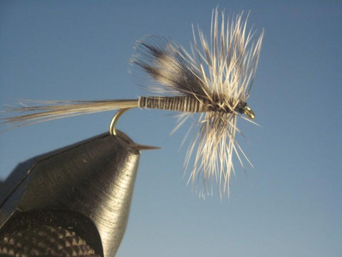 Mosquito California - The Trout Spot