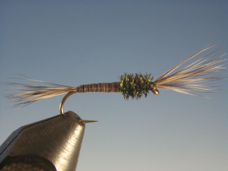 Mosquito Larva - The Trout Spot