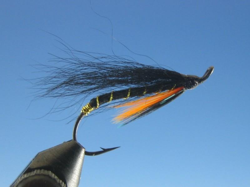 Munro Killer - The Trout Spot