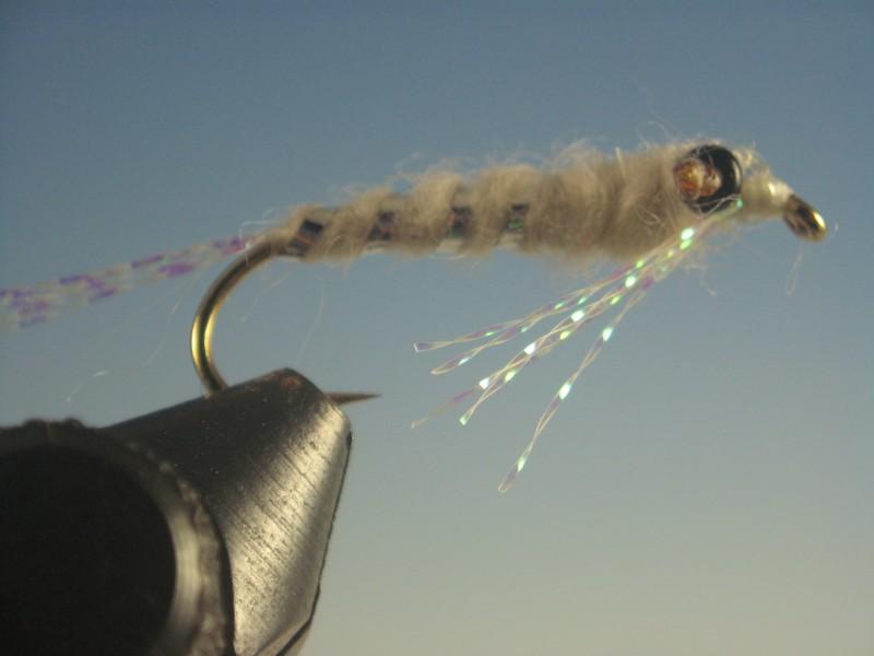 Mysis Shrimp - The Trout Spot