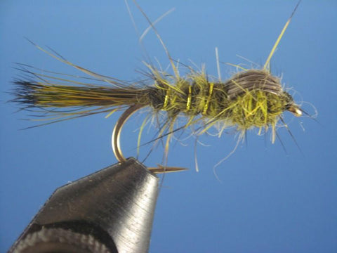 Olive Hares Ear - The Trout Spot