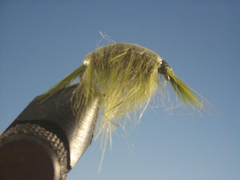 Olive Scud - The Trout Spot