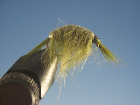 Olive Scud - The Trout Spot